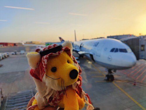 auf geht's, in so einer Blechbüchse 