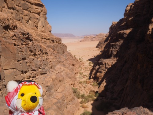 Das Wadi Rum ist nicht umsonst so berühmt 